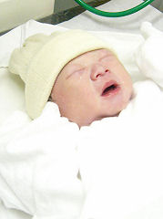 baby2006.jpg